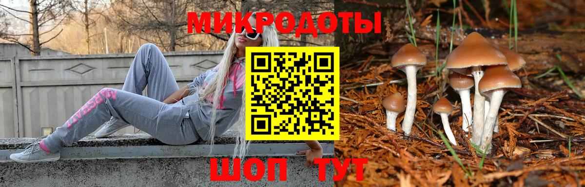 Долгопрудный  Псилоцибиновые грибы Psilocybe  Вход с VPN  где найти наркотики  Псилоцибиновые грибы прущие грибы 