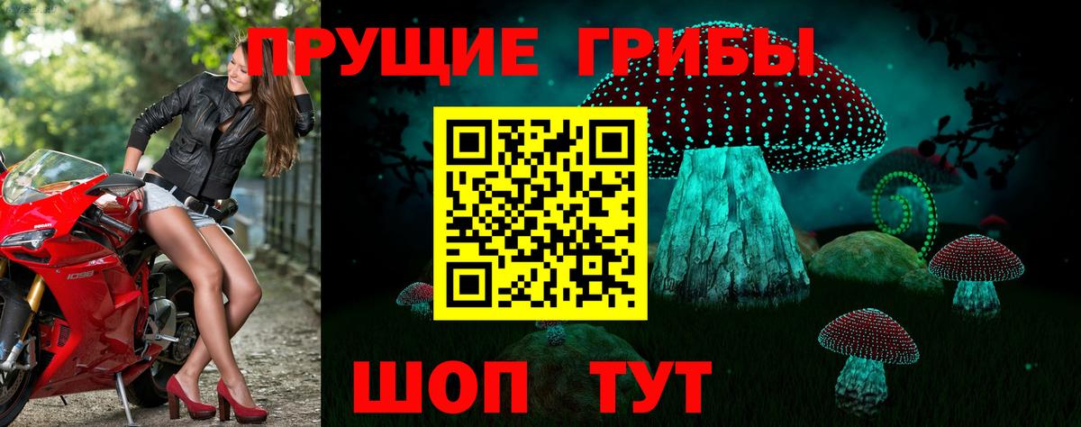 Галлюциногенные грибы мухоморы Долгопрудный